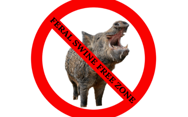 Feral Swine Free Zone