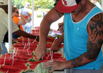 A volunteer cuts through a locally grown watermelon at the 2016 Rush Springs Watermelon Festival. Hundreds of pounds of watermelon are consumed under the awnings at Jeff Davis Park. HMG file photo