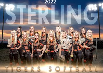 Sterling Tigers softball