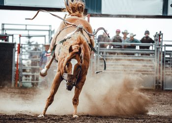 Annual Lawton Rodeo set for Aug. 10 - Aug. 13