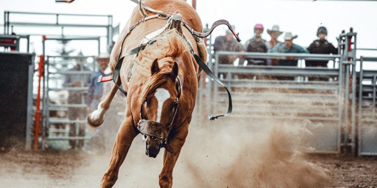Annual Lawton Rodeo set for Aug. 10 - Aug. 13