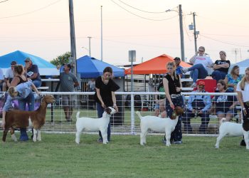 Fletcher Free Fair kicks off Sept. 1