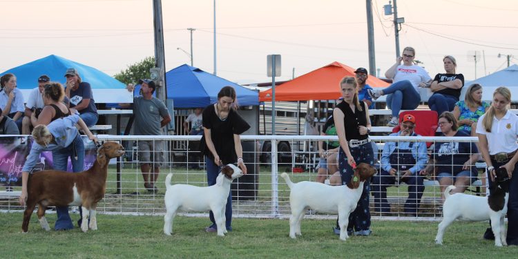 Fletcher Free Fair kicks off Sept. 1