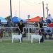 Fletcher Free Fair kicks off Sept. 1