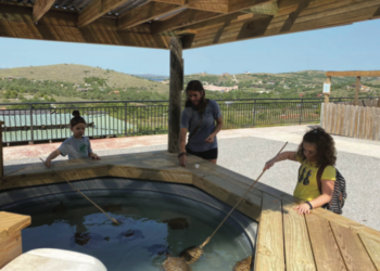 Medicine Park Aquarium & Natural Sciences Center