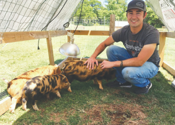 "Hoggy Parton" soaks up a bit of attention as Ray Pierce, owner of Pierce pastured-raised farm. Farms, squats down to pet the newest addition to his growing pastured-raised farm