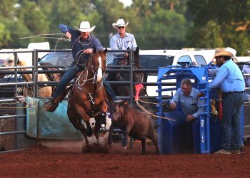 A calf-roper competes at the Chickasha Open Rodeo June 24-25 at the Grady County Fairgrounds. Rafter D Rodeo livestock have been used at the biggest rodeos in the U.S. and Canada. HUGH SCOTT/PHOTO PROVIDED