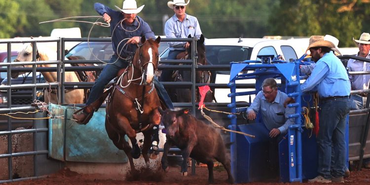 A calf-roper competes at the Chickasha Open Rodeo June 24-25 at the Grady County Fairgrounds. Rafter D Rodeo livestock have been used at the biggest rodeos in the U.S. and Canada. HUGH SCOTT/PHOTO PROVIDED