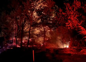 Photo by Christian Hilliary