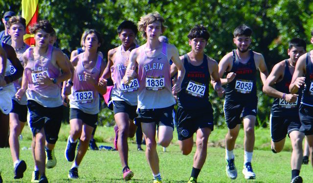 Elgin shows ‘strong chance’ of qualifying for 5A state meet