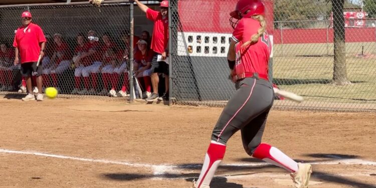 Elgin Lady Owls win play-in series, advances to regional tourney