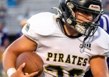 Article Image Alt Text