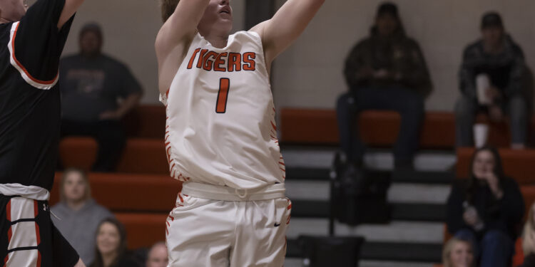 Finally! Tigers win close one against Alex