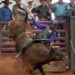 Bulls dominate as Xtreme event opens
