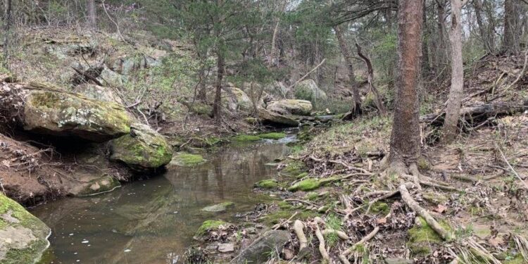 Federal judge pauses Biden’s WOTUS in 26 states pending high court decision