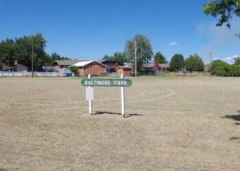 Lawton planning commission won't make recommendation on repurposing parks