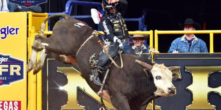 Liberty Bank Xtreme Bulls draws record field