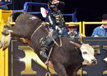 Top matchups due at Xtreme bulls