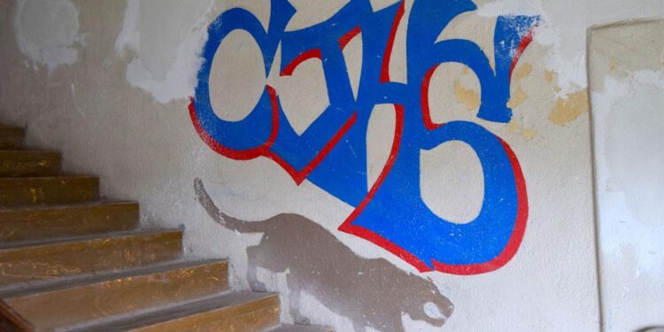 CIP funds allocated to cover increased costs to renovate city hall, McMahon Auditorium