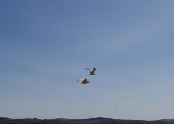 Upgrades for Lawtonka and Ellsworth will make them a recreational destination, designers say