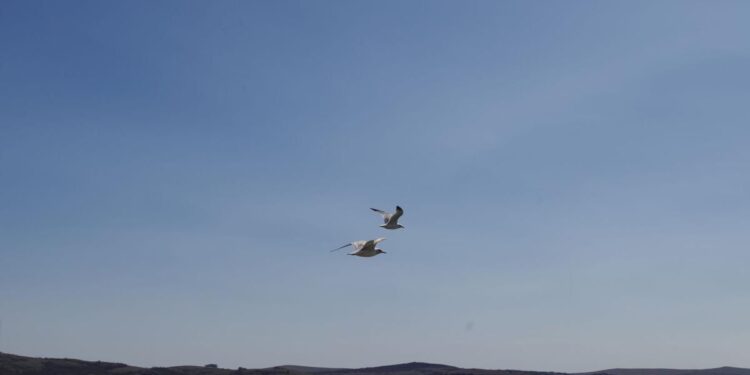 Upgrades for Lawtonka and Ellsworth will make them a recreational destination, designers say