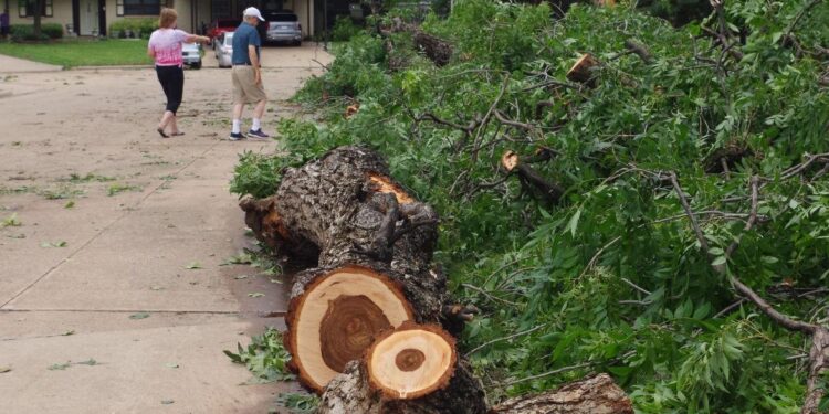 City of Lawton setting plans into place to handle residential storm debris