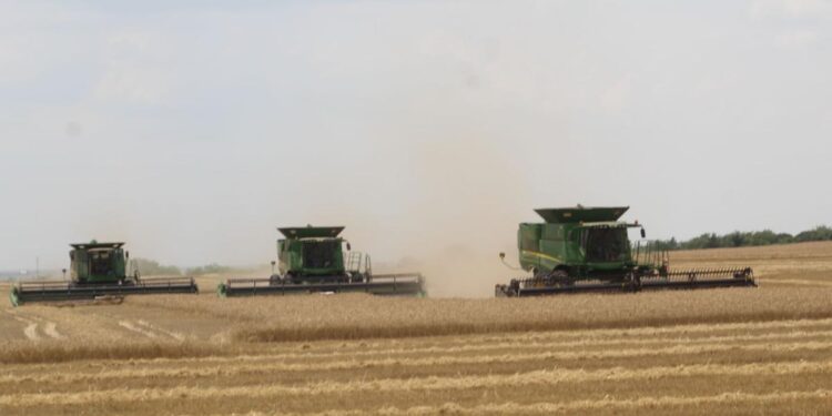 Rain continues to slow area wheat harvest