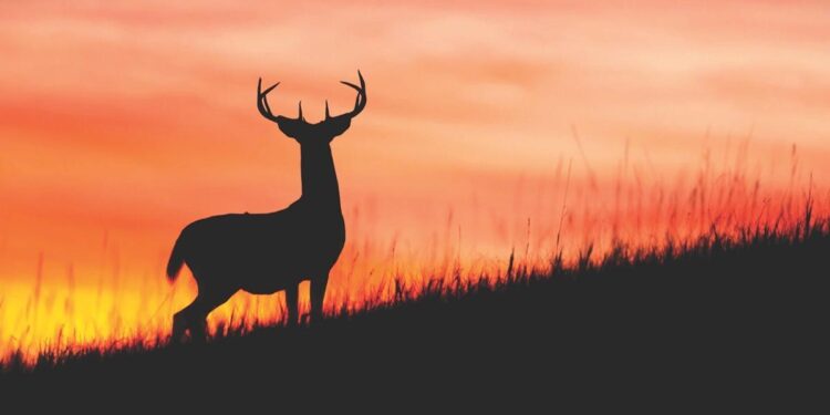 Brush up on Hunter Safety before season starts