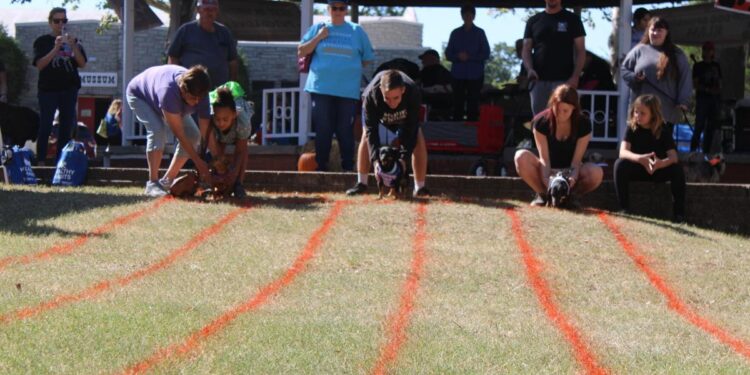 Paws in the air: Bark in the Park returns Sept. 23