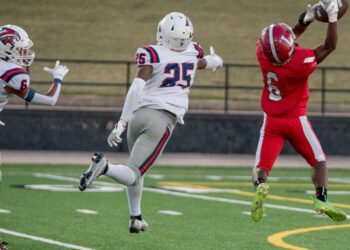 Turnovers spell doom for Wolverines