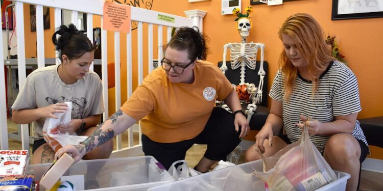 Women owned businesses unite for needs from domestic violence in October