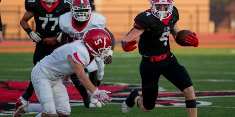 Reporter sees key wins for Elgin, Mac, LHS, Cache