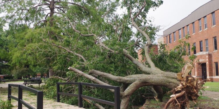 Repairs still being made after June 15 storm that caused massive damage across Lawton