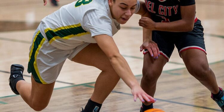 Mac girls to host Class 5A regional