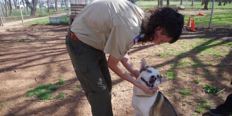 Eagle Scout project will bring smiles to canine faces