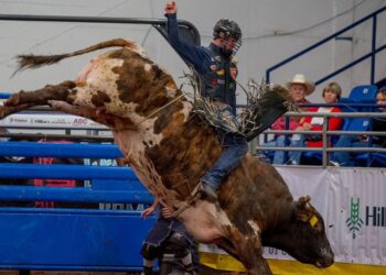 Mize takes Xtreme Bulls title with late heroics