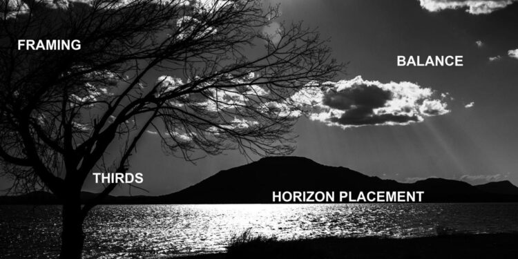 Wichita Wildlight Photographic Society to present photography class