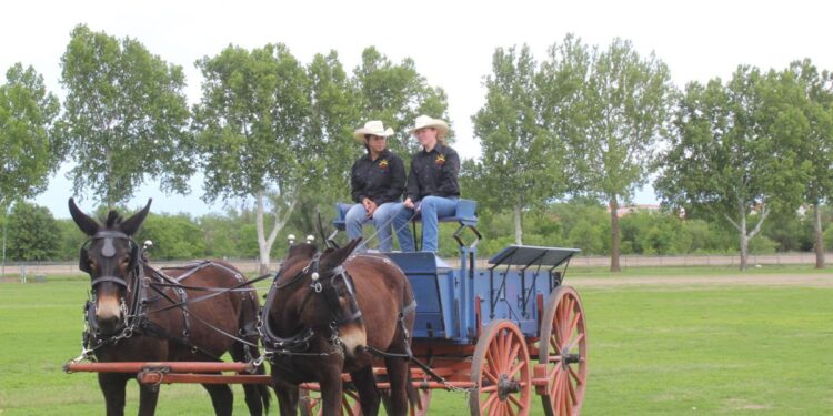 First annual Redleg Competition begins at Fort Sill
