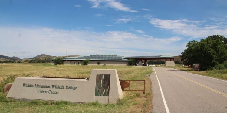 Charon's Garden reopens after human remains found