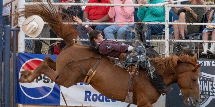 Gordon wins saddle bronc title; Schalla sweeps bareback, bull crowns