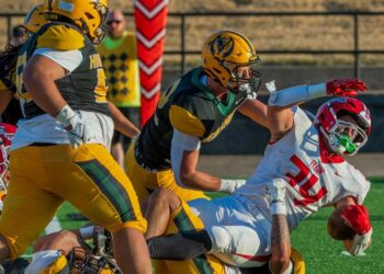 Area schedule includes interesting games