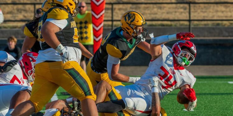 Area schedule includes interesting games