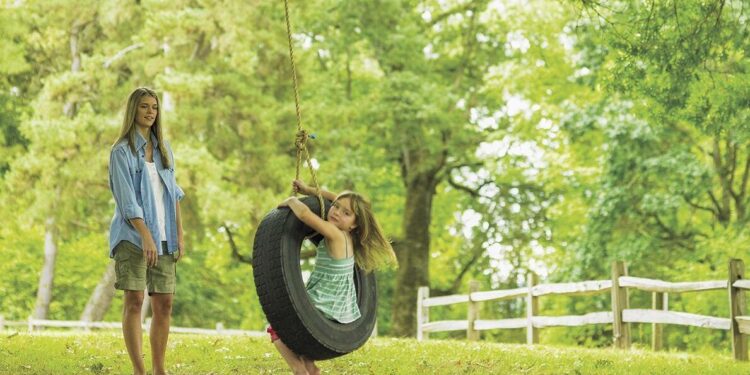 COLUMN: The Mighty Oak Tree