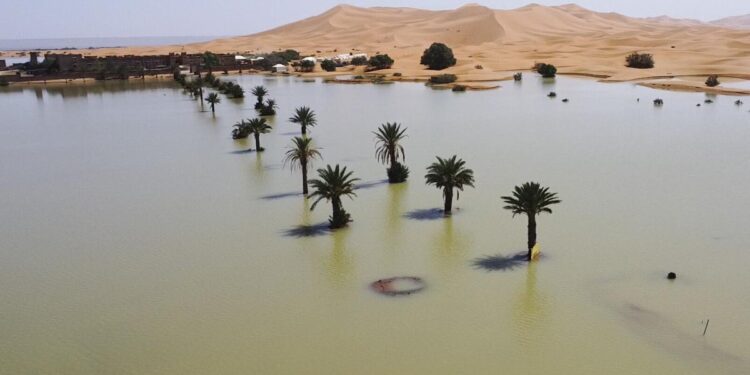 Water gushes through sand dunes after a rare rainfall in the Sahara desert
