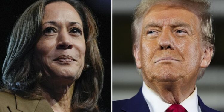 AP VoteCast: Harris voters motivated by democracy, Trump supporters by inflation and immigration