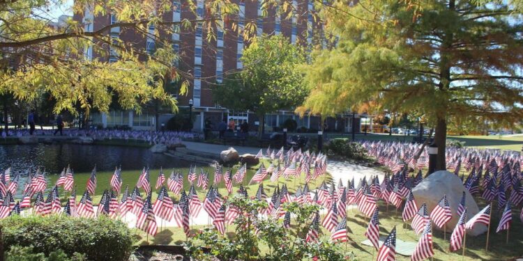 Veterans Day Events