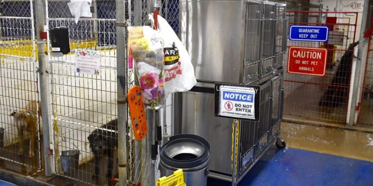 Lawton to change location of new animal shelter