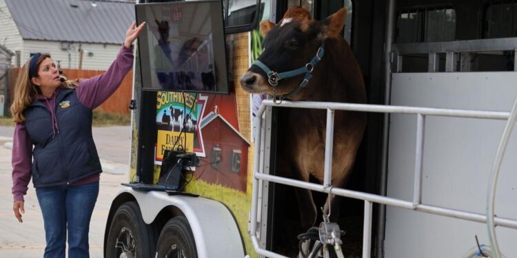 Mobile dairy unit has 'Snazzy' milking for attention