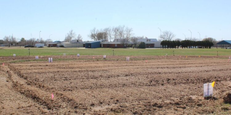Cameron Community Garden plots available to gardeners