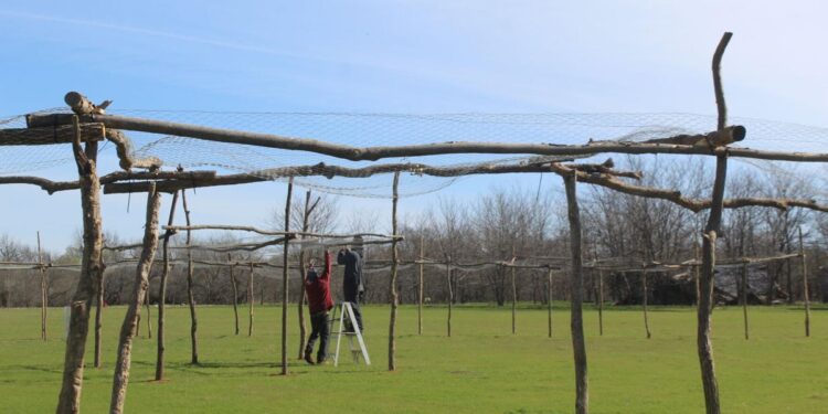 Fort Sill Indian School brings back alumni reunion